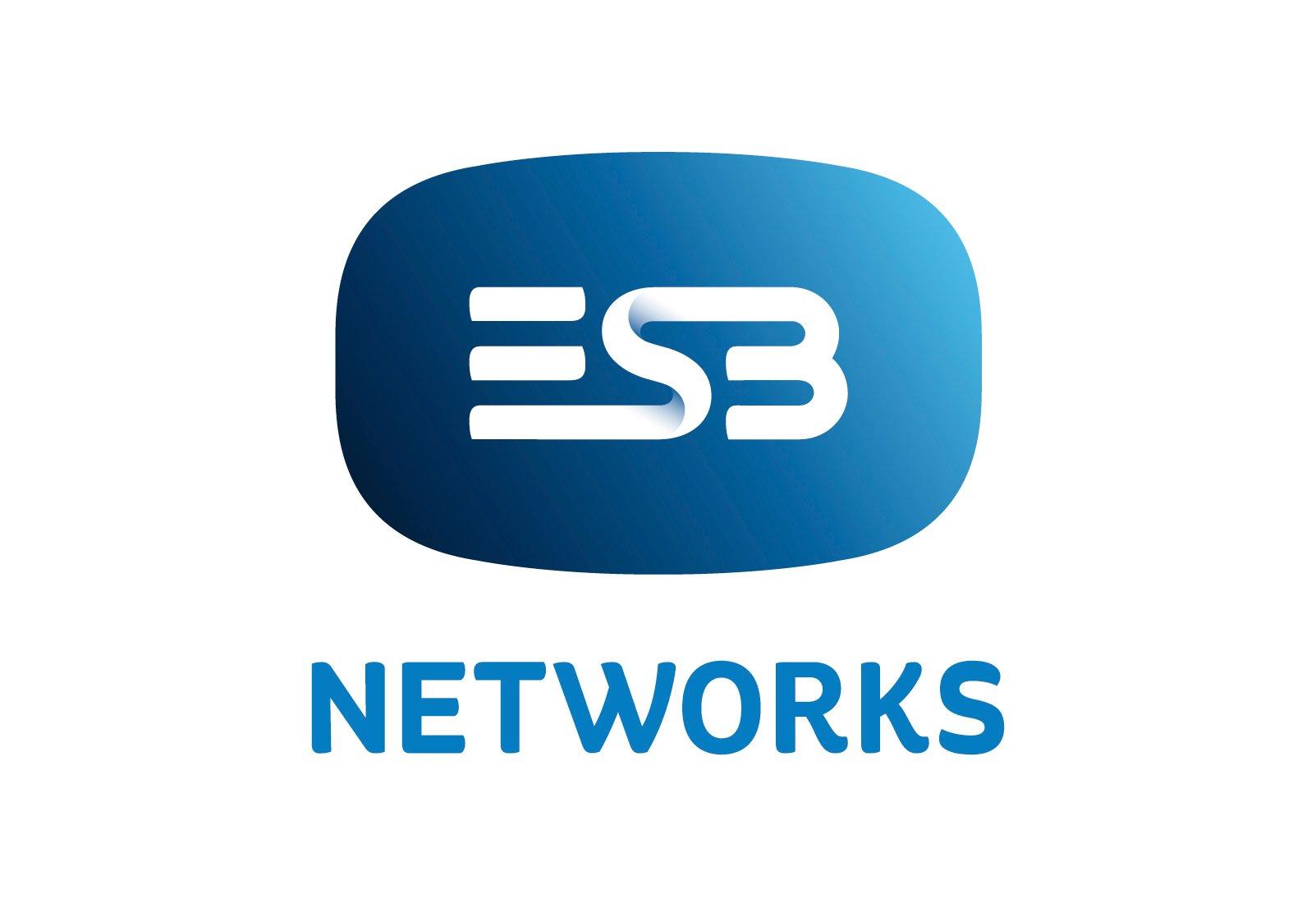 Charge card logo of ESB E-card